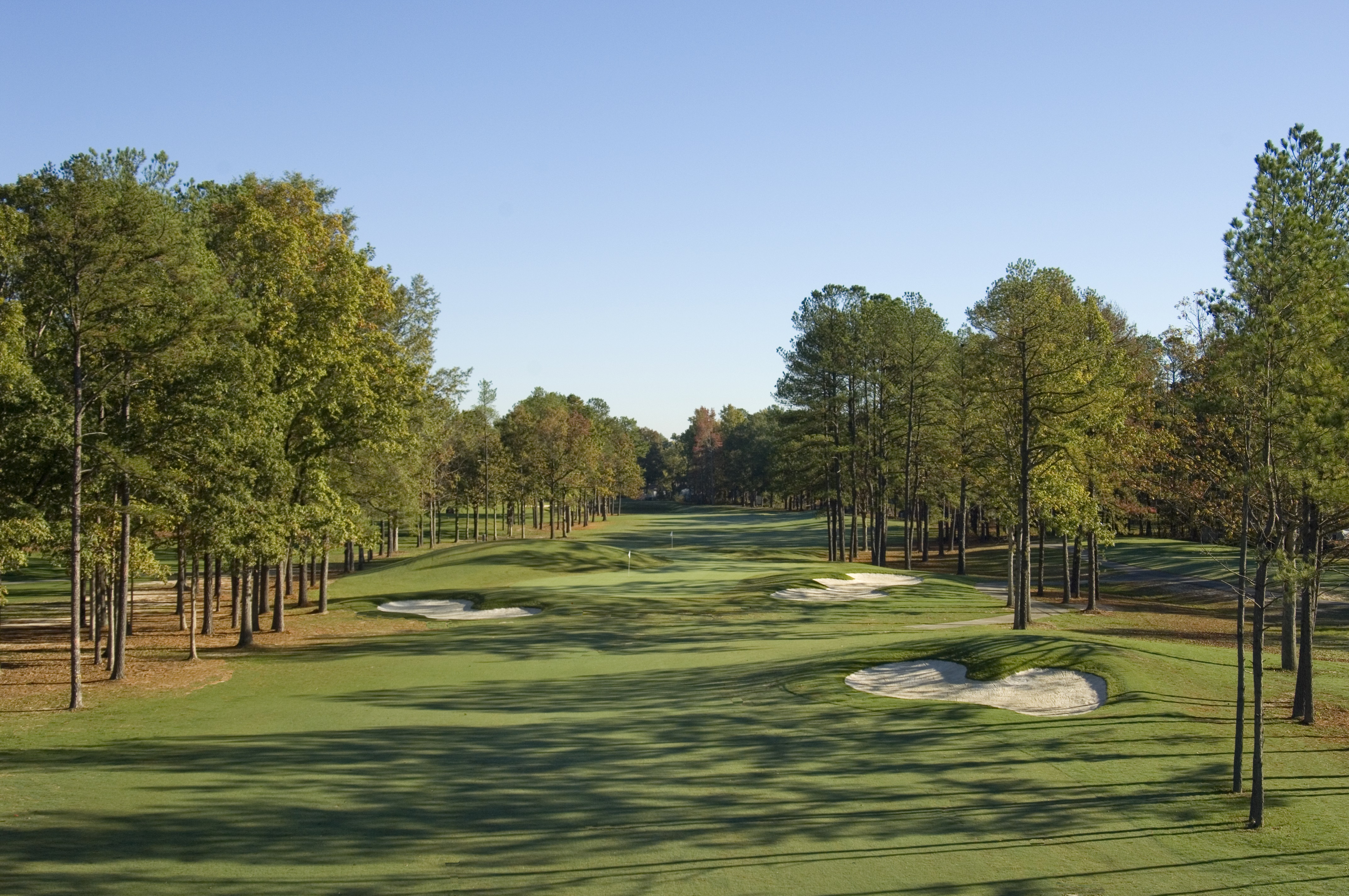 Dogwood Trace-13-17